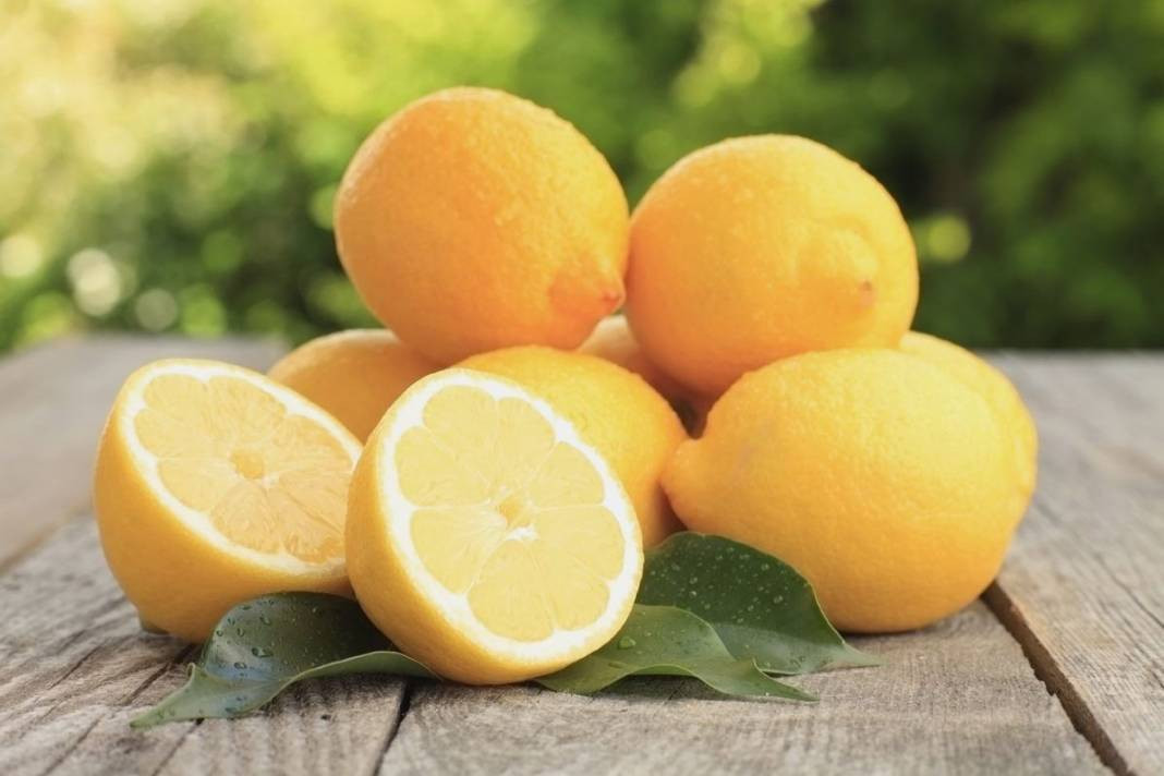 Limonun değil fiyatının suyu çıktı! Limonu durdurabilene aşk olsun - Resim: 20